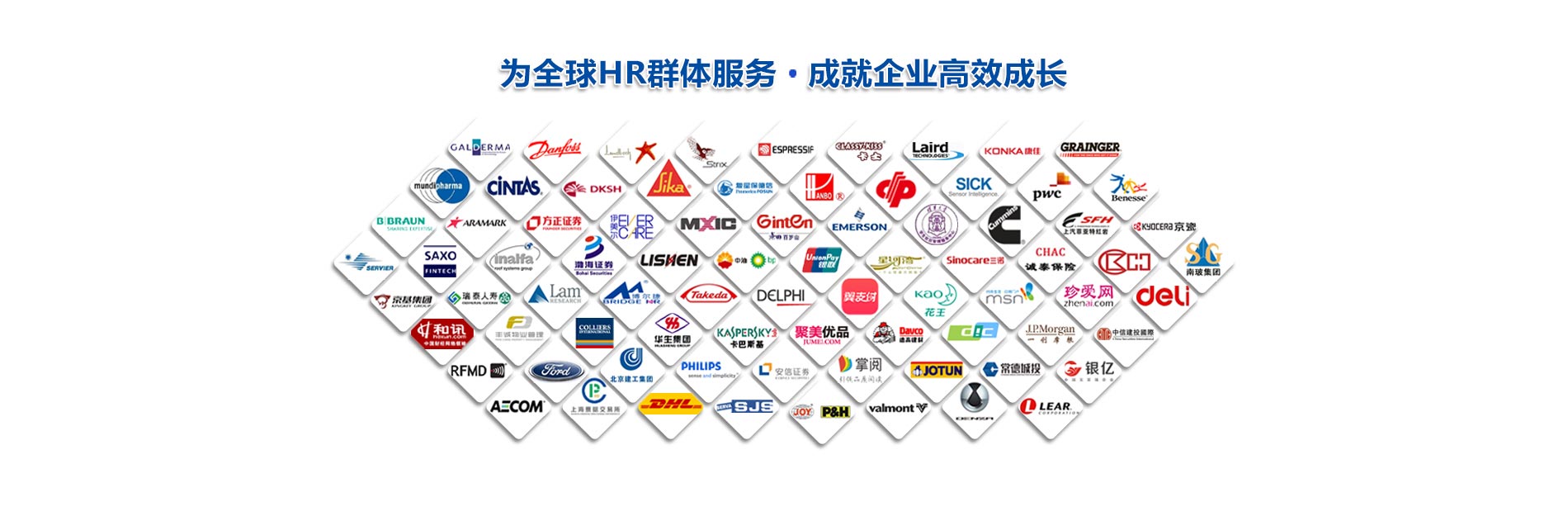紫金山科技eHR系统部分用户