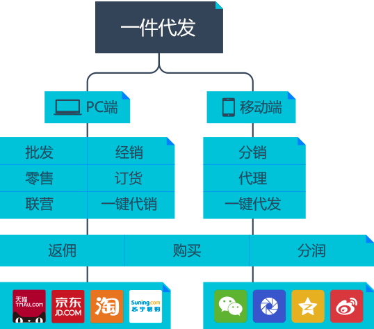 紫金山DRP